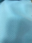 SL-092;  P:100%(MESH)